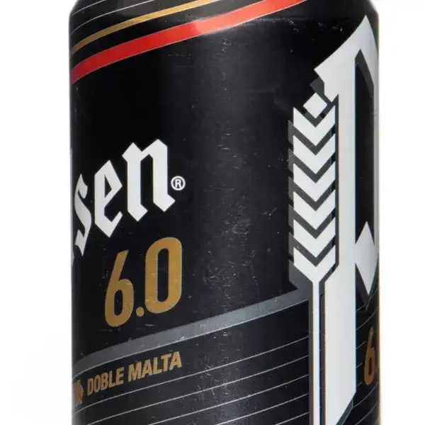 Pilsen 6,0 Dose